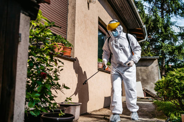 Best Mosquito Control Services  in St David, AZ