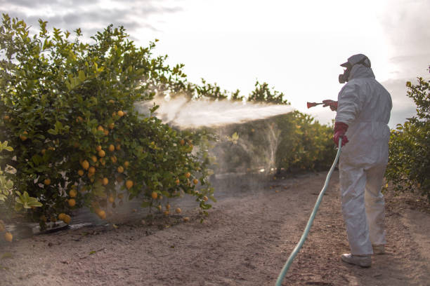 Best Flea Control Services  in St David, AZ