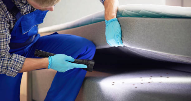 Best Rat Extermination Near Me  in St David, AZ