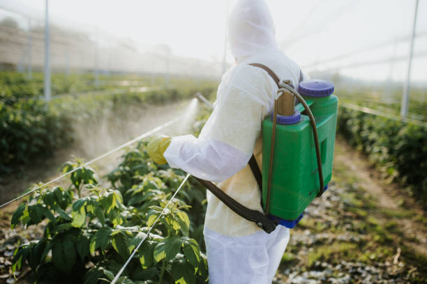 Best Pest Inspection Near Me  in St David, AZ